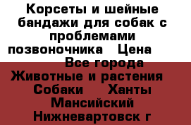 Корсеты и шейные бандажи для собак с проблемами позвоночника › Цена ­ 2 500 - Все города Животные и растения » Собаки   . Ханты-Мансийский,Нижневартовск г.